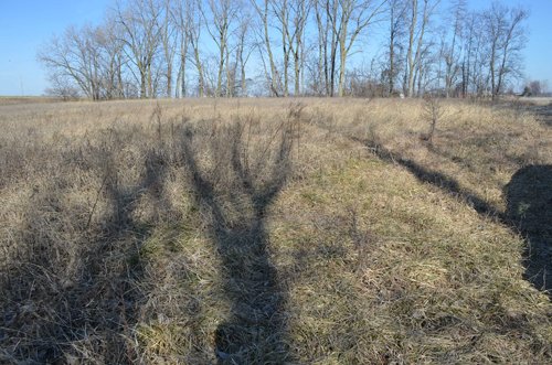 Property photo 20 - East Allen County - 55 Acre Land Auction